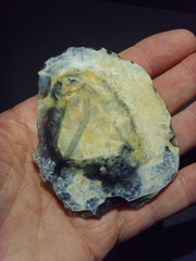 Lower Paleolithic – Fine Acheulean ovate scraper. c.450,000 BP.