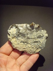 Lower Paleolithic – Fine Acheulean ovate scraper. c.450,000 BP.