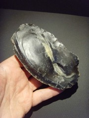 Lower Paleolithic – Superb Acheulean lateral scraper. c.450,000 BP.