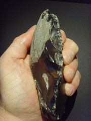 Lower Paleolithic – Superb Acheulean lateral scraper. c.450,000 BP.