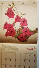 Vintage Avon Edwardian Flowers 1990 Calendar