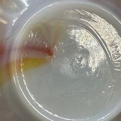 VTG Akro Agate Slag Glass Orange Swirl Clam Shell Trinket Dish Soap #246 USA