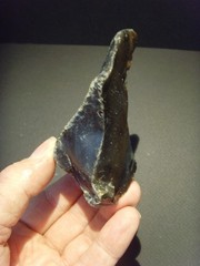 Lower Paleolithic – Faceted Acheulean scraper. c.450,000 BP.