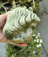 Vtg Concrete HEAD Salvaged Cement Garden STATUE Old Weathered Gothic-Child Bust!