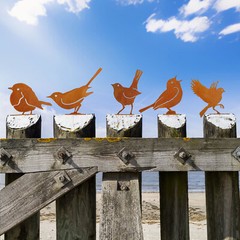 5pcs Cut Metal Rusty Bird Decor Yard Garden Rusty Bird Art Statue