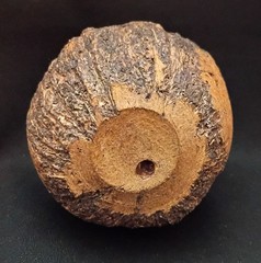 Vintage Folk Art Carved Brazil Nut Pod w/ Brazil Nuts Inside