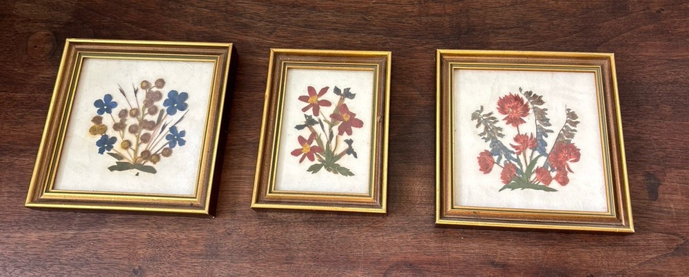Vintage FLORALP TYROL Pressed Flowers (3) Framed Art Print Hand Made In Austria