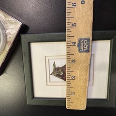 PRESSED DRIED Flowers Of Ireland By Breda Hayden & Irish Blessing ornament
