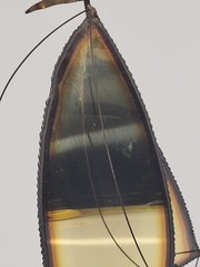 Metal Brass Sailboat Sculpture on Quartz Base Signed DeMott 9.5 in Nautical