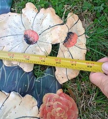 Vtg Handpainted Signed Metal Enamel Toleware Flower Floral Wall Hanging 21″x22″