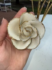 gold dipped rose steven singer