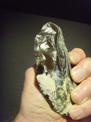 Lower Paleolithic – Superb Acheulean side scraper. c.450,000 BP.