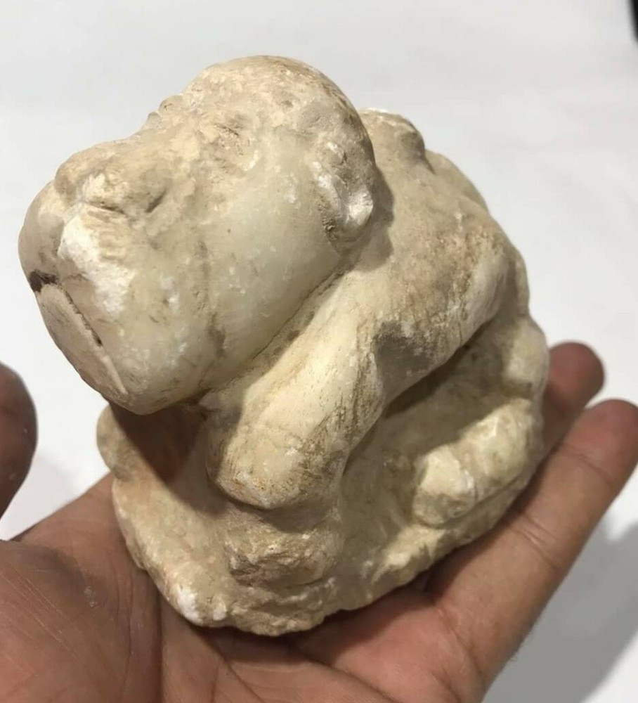 Rare Ancinet Old Bactrain Era Amziing Wild Animal Statue Amulet Albstar Stone
