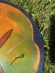 Kakadu Reut Shahar Signed Painted Wood Wall Art Mat Israel Fish 15″ Round