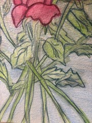 Watercolor Original Painting By Sally Harrison Roses Size 12”x9” Unframed