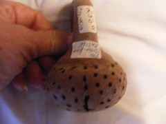 Pre Columbian Rattler Artifact