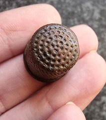 Post Medieval Thimble Antique Metal Detecting Find 21x17mm (19)