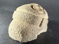 ANCIENT PRE COLUMBIAN TAINO STONE ZEMI TRIGONOLITH FIGURE – CIRCA 1000-1500 CE