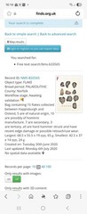 “Rare” lower Paleolithic set of 10 large flakes see description