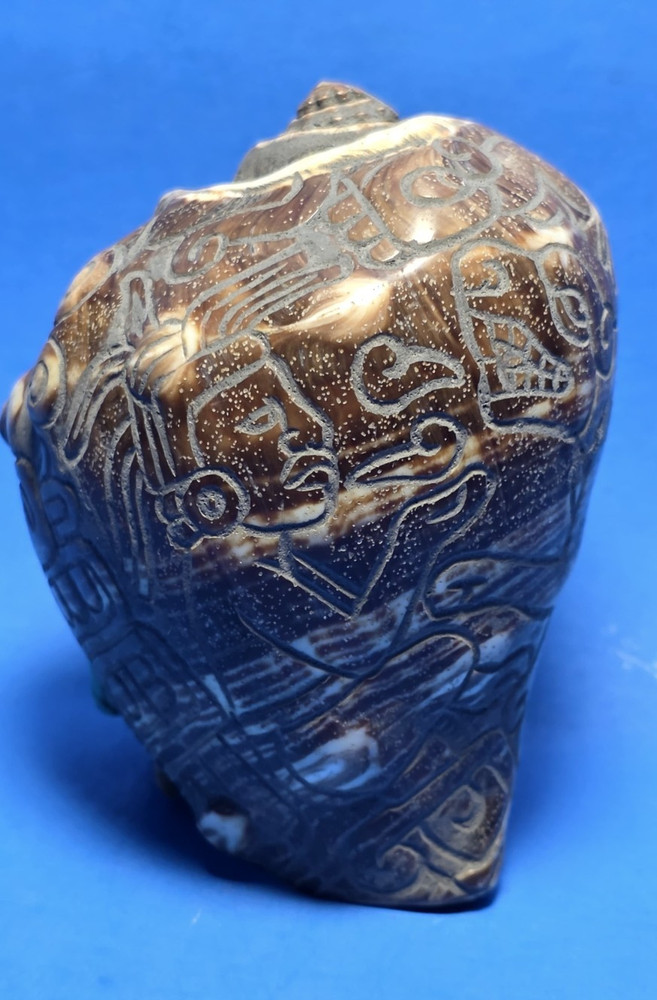 PRE-COLUMBIAN MAYAN CARVED SNAIL, CODEX TYPE