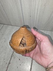 Vintage Carved Brazil Nut Pod Rattle Sculpture Hand Carved Natural Decorative