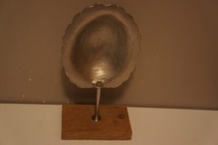 Contemporary Cast Aluminum Turtle Shell on Wood Stand