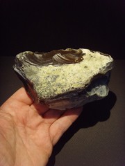 Lower Paleolithic – Very Fine Acheulean side scraper/chopper. c.450,000 BP.