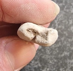 Roman Lead Rolled Curse / Wish Metal Detecting Find Antique (4)