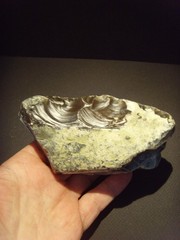 Lower Paleolithic – Very Fine Acheulean side scraper/chopper. c.450,000 BP.