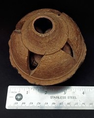 Vintage Folk Art Carved Brazil Nut Pod w/ Brazil Nuts Inside