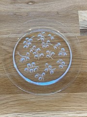 Antique LALIQUE – ‘Muguet’ – Frosted & Clear Crystal Plate – France 20th Century