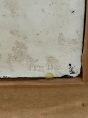 Porcelain Colored Lithophanes Plaue Porzellan Manufaktur PPM Germany
