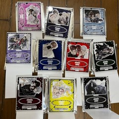 Vampire Knight Acrylic Trading Card Set 10 Types Complete 10pcs