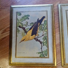 Pair of Vintage Basil Ede Bird Plaques-Gilt on Wood-Made in Italy-16 x 12-1940’s