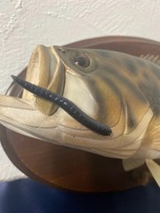 Decorative Replica Bass Fish Mounted Wood Plaque 11”