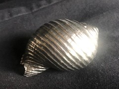 decorative cast aluminum tun shell 3″ x 1.5″