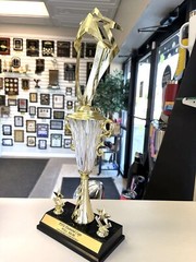 TROPHY CUP LARGE FREE LETTERING ACHIEVEMENT AWARD BEAUTIFUL P-PCG-M DIAMOND CUP