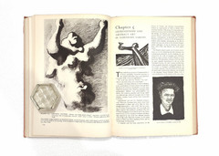 Modern Prints & Drawings: A Guide to a Better Understanding of Modern Draughtsma