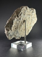 ANCIENT ASSYYRIAN BLACK STONE FRAGMENT DEPICTING KING RULER – CIRCA 3000 BCE