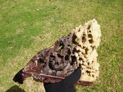 RARE ANTIQUE CARVED SOAPSTONE GRAPES & LEAVES DETAIL = (Watch The Video )