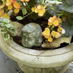 Vtg Concrete HEAD Salvaged Cement Garden STATUE Old Weathered Gothic-Child Bust!
