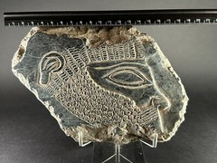 ANCIENT ASSYYRIAN BLACK STONE FRAGMENT DEPICTING KING RULER – CIRCA 3000 BCE