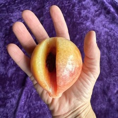 Alabaster 3″ Stone Fruit Peach Apricot Vintage Exposed Pit Seed Wood Stem