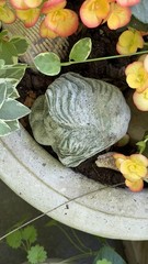 Vtg Concrete HEAD Salvaged Cement Garden STATUE Old Weathered Gothic-Child Bust!