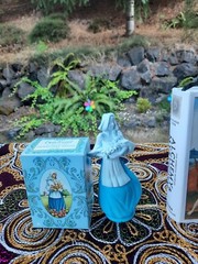 VINTAGE Eau de toilette for women Avon Dutch Girl 3 Fl.oz.