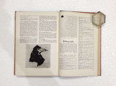 Modern Prints & Drawings: A Guide to a Better Understanding of Modern Draughtsma
