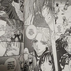 Vampire Knight Manga Set Vol 1-13 English Shojo Hino Matsuri