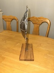 Turtleshell decor/accent piece cast aluminum