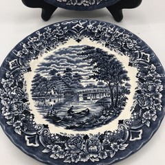 Royal Art Staffordshire Transfer Ware Blue And White 2 Plates