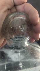 Stunning Oversized Hand Blown Art Glass Cloche / Display Dome Bullicante Bubbles
